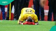 Ex-Super Eagles goalie rallies support for Stanley Nwabali: “Now that he's down”