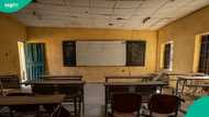 Classroom block of school collapses during school hours in Lagos