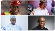 Tsohon Minista ya Jero Tarihi 20 da Buhari, APC, Tinubu da Obi Suka Bari a Zaben 2023