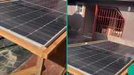 Tenant installs solar panels on ground as landlord denies permission for roof mounting