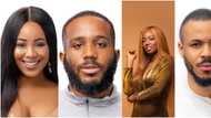 Housemates excited as Big Brother returns, Erica, Kiddwaya and 2 others issued strikes for flouting rules (video)