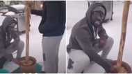 It's cold but we'll eat it: African men abroad spotted pounding fufu in snow say in video