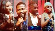 BBNaija: New housemates come into the show, the game takes surprising turn