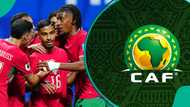 CAF sends strong message to Morocco to back their World Cup ambition