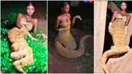 Lady in shiny snake-like outfit poses like cobra for her birthday photoshoot, video goes viral & scares people