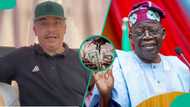 "City Boy is Working": Daddy Freeze Hails Tinubu, Raises Concern As Dollar Approaches N1,000
