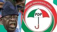 2027 election: Top southwest politician mentions who In the PDP camp is capable of sacking Tinubu