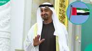 UAE explains how many years foreign scientists must work to be eligible for citizenship