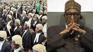 Buhari's lawyer absent in court as case against president begins