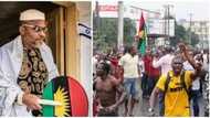 Tell IPOB to stop Biafra agitation - Arewa Consultative Forum tells Igbo leaders