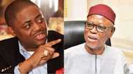 Fani-Kayode blasts APC for setting up committee for Nigeria's restructure