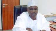 Senator Ndume identifies two conditions that can bring down APC