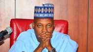 Dan majalisan Borno ya shiga damuwar game da wanda zai maye gurbin Shettima a shekarar 2019