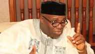 APC za su yi wa kansu alfarma ne idan har suka hana Buhari takara a 2019 – Doyin Okube