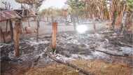 SAD! Farmers now burn their farmlands to prevent Fulani herdsmen from grazing