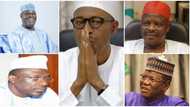 2019: Northern youths plan mock presidential election for Buhari, Atiku, Kwankwaso, others; reveal details