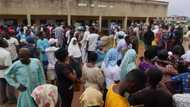 APC, PDP members reportedly clash as party agents campaign for votes ahead of Osun rerun election