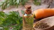 Real benefits of carrot oil for skin and hair