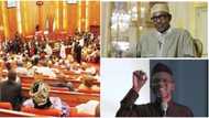 You are corrupt, afraid of arrest if Buhari wins a second term - El-Rufai bashes APC defectors again
