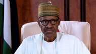 Rikicin makiyaya: Shugaba Buhari zai ziyarci jihar Adamawa a gobe