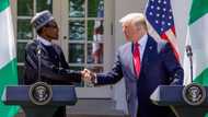 What President Buhari told President Trump about fight against terrorism, corruption (Full Statement)