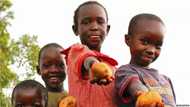 Food insecurity in Nigeria: facts you should know