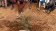 An tono tukunya mafi girma da tsufa a Kano