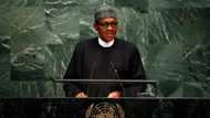 Mun fara rabawa yan Najeriya tallafin bilyan 11 domin rage radadin cutar Korona - Buhari ga UN