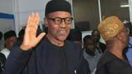 Buhari Reveals Minister For Youth And Sports (Photo)