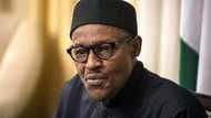 Buhari's health: It’s high time the president said something so that suspicion will die down – Bishop Ezeokafor