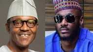 2face's planned protest: Presidency won't stop Nigerians from expressing their human rights - Osinbajo
