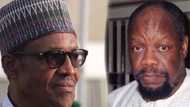 My father truly held meeting with Buhari on Nigeria’s unity - Ojukuwu’s son blasts IPOB, MASSOB