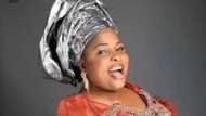 PDP is pushing back against Buhari’s anti-corruption war - Former US ambassador