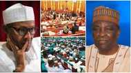 It is too early to start impeaching presidents in Nigeria - Gowon warns NASS against impeaching Buhari