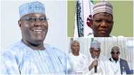 2019: 13 PDP 'heavyweights' set to slug it out with Buhari (full list, profiles)