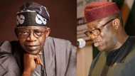 I can never disrespect Tinubu, Buhari's minister declares