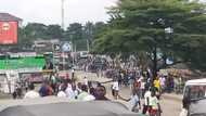 Enugu monarch reportedly stripped, beaten to death over community crisis
