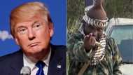 Trump moves to address Boko Haram insurgency in Nigeria