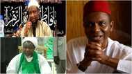 ‘Rashin fahimtar Turanci ne yasa yan shi’a zargin El Rufa'i ya kira Zakzaky ‘Dabba’” - Inji Sheikh Hamza Lawal