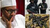 DSS to buy exotic guns and other equipment worth N4.93 billion