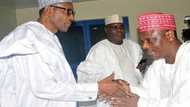 Ba don Kwankwaso ba da ‘Yan Boko Haram sun kashe Buhari a 2013