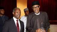 I get half salary because of Buhari - Osinbajo
