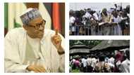 Exposed: While 2019 battle begins among politicians, 31m Nigerians reportedly jobless