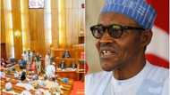 Presidency, Senate hold security summit on February 1