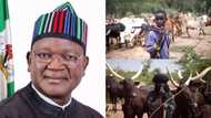 Governor Ortom makes special request to Buhari, FG