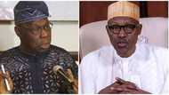 Why Obasanjo is afraid of Buhari's regime - Abubakar Tsav