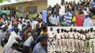 We deported 792 illegal immigrants - Nigeria immigration