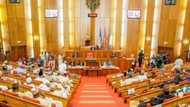 Nigerian Senate mourns as several people reportedly die in attack on herders in Zamfara