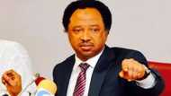 Idan har siyasar ku don mutane ne toh ku rungumi zaben fidda gwani – Shehu Sani