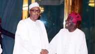 Buhari na shirin dinke barakar sa da Tinubu